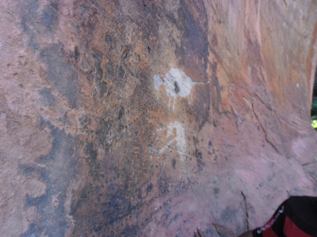 Estudiosos  começam a visitar/pesquisar pinturas rupestres em Redenção do Gurguéia  - Imagem 12