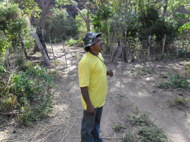 Estudiosos  começam a visitar/pesquisar pinturas rupestres em Redenção do Gurguéia  - Imagem 10