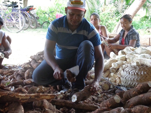 Secretário de Agricultura comemora com os agricultores a safra da farinha  - Imagem 9