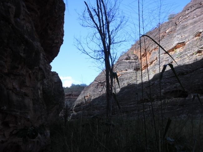Estudiosos  começam a visitar/pesquisar pinturas rupestres em Redenção do Gurguéia  - Imagem 17