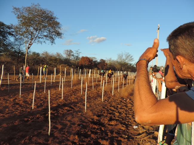 Tradicional Corridas de cavalos de Barra D“Alcântara - Imagem 9