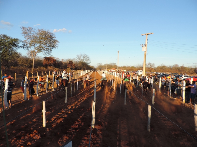 Tradicional Corridas de cavalos de Barra D“Alcântara - Imagem 7