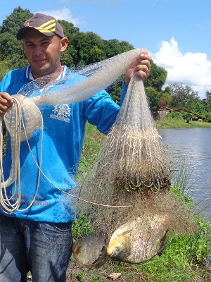 Secretário de Agricultura e especialista em Piscicultura realizam fisioquímica e biometria dos peixes - Imagem 4