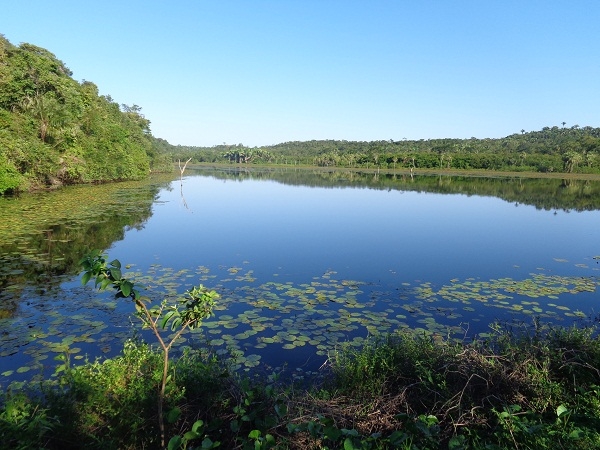 Secretário de Agricultura e especialista em Piscicultura realizam fisioquímica e biometria dos peixes - Imagem 10