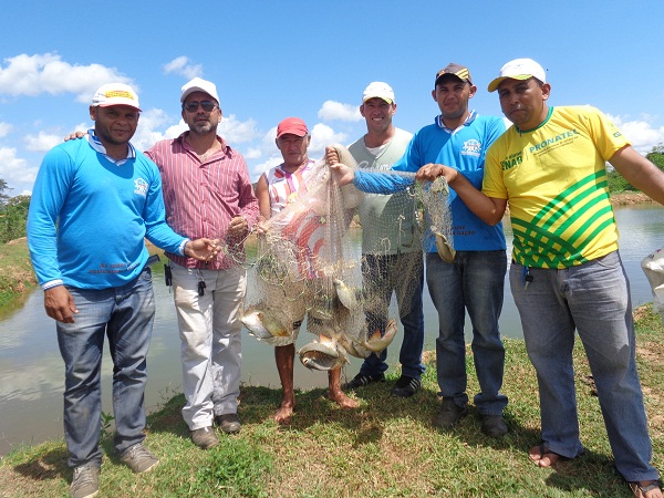 Secretário de Agricultura e especialista em Piscicultura realizam fisioquímica e biometria dos peixes