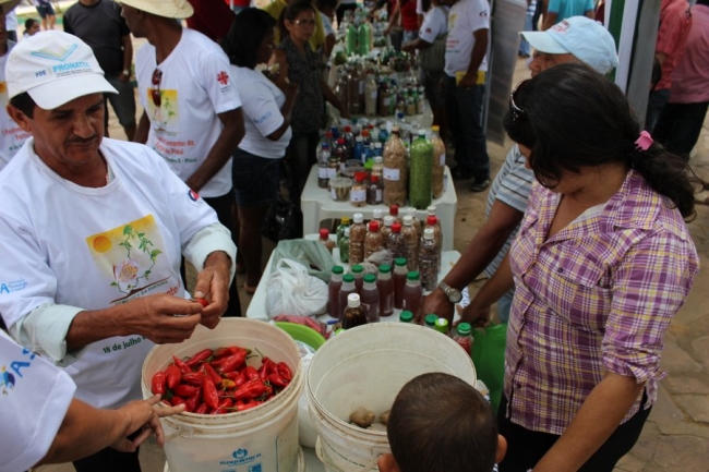 Sementes raras e exóticas são mostradas no I Festival das Sementes da Fartura, realizado no município de Pedro II - Imagem 6