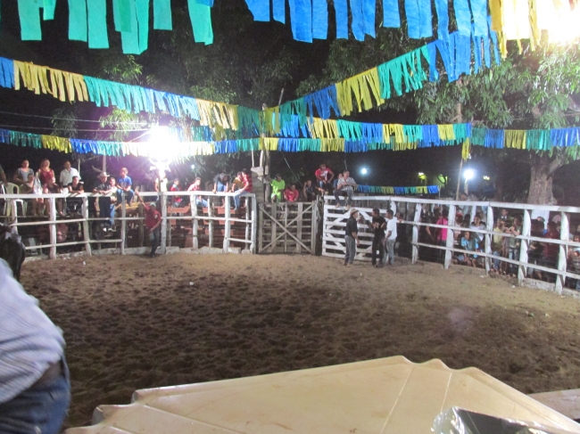 VII Rodeio de Vaquejada Tuna Brito Termina em Grande Estilo  - Imagem 76