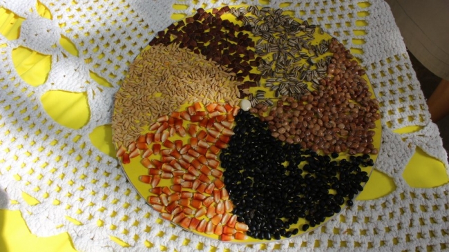 Sementes raras e exóticas são mostradas no I Festival das Sementes da Fartura, realizado no município de Pedro II - Imagem 5