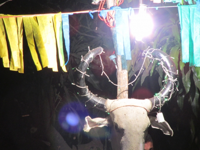 VII Rodeio de Vaquejada Tuna Brito Termina em Grande Estilo  - Imagem 75