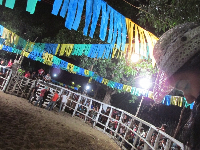 VII Rodeio de Vaquejada Tuna Brito Termina em Grande Estilo  - Imagem 74