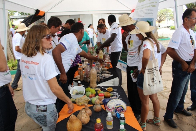 Sementes raras e exóticas são mostradas no I Festival das Sementes da Fartura, realizado no município de Pedro II - Imagem 7