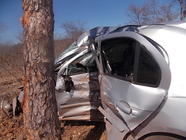 Motorista sai da pista bate em árvore e morre na PI-119  - Imagem 27