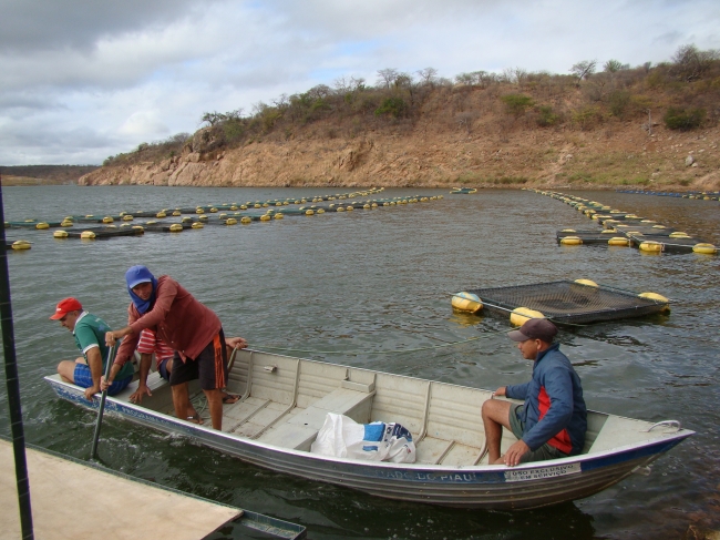 Conceição do Canindé Bate Recorde na Agricultura Familiar - Imagem 12