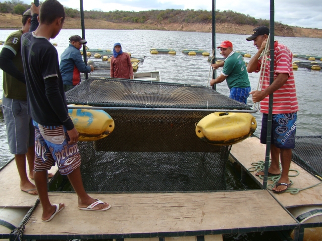 Conceição do Canindé Bate Recorde na Agricultura Familiar - Imagem 19