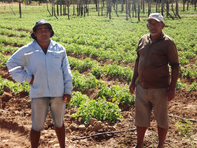 Conceição do Canindé Bate Recorde na Agricultura Familiar - Imagem 9