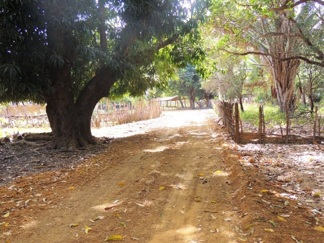 Prefeitura promove melhoria na estrada da Barroca - Imagem 11