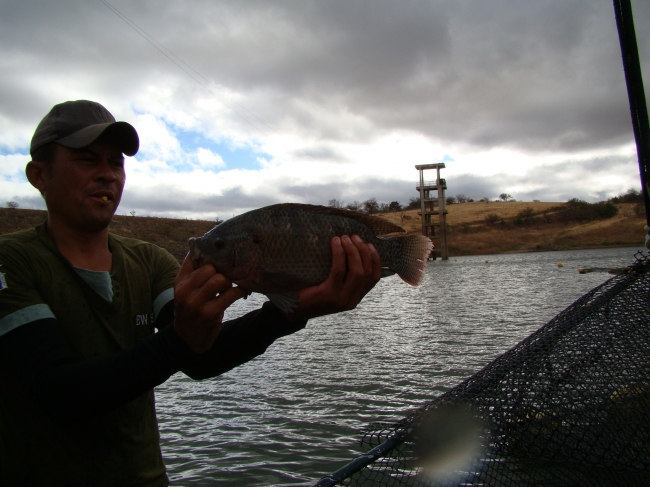 Conceição do Canindé Bate Recorde na Agricultura Familiar - Imagem 6