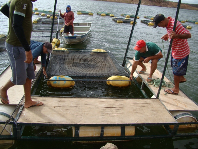 Conceição do Canindé Bate Recorde na Agricultura Familiar - Imagem 11