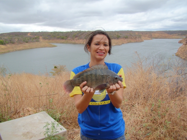 Conceição do Canindé Bate Recorde na Agricultura Familiar - Imagem 5