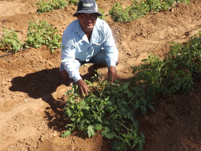 Conceição do Canindé Bate Recorde na Agricultura Familiar - Imagem 18