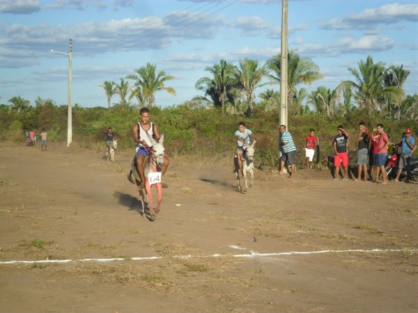 Corrida de jumento movimentou festejo - Imagem 5