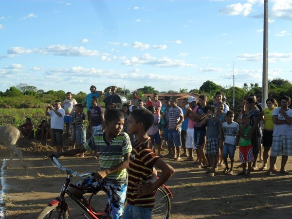 Corrida de jumento movimentou festejo - Imagem 3