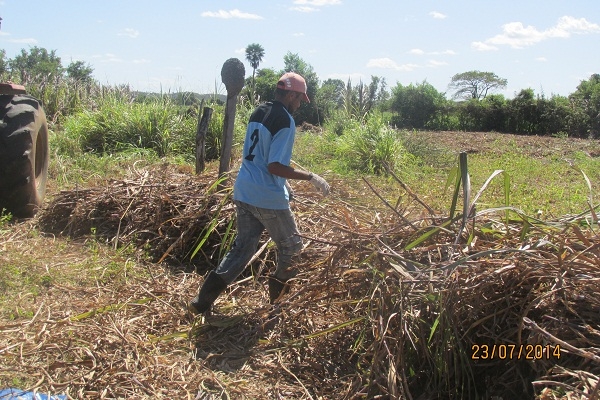 Prefeito Manin Geronço prestigia a preparação da primeira Ensilagem do município de Porto - Imagem 7