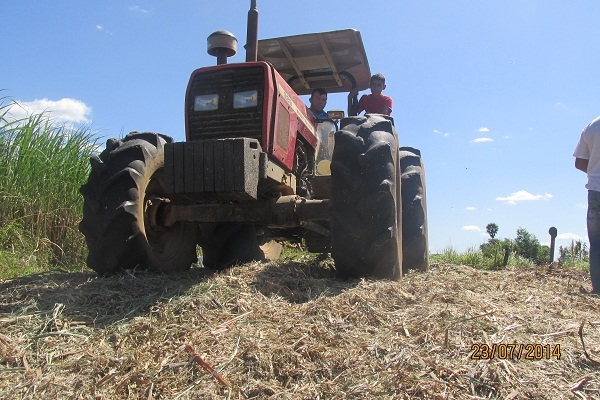 Prefeito Manin Geronço prestigia a preparação da primeira Ensilagem do município de Porto - Imagem 6