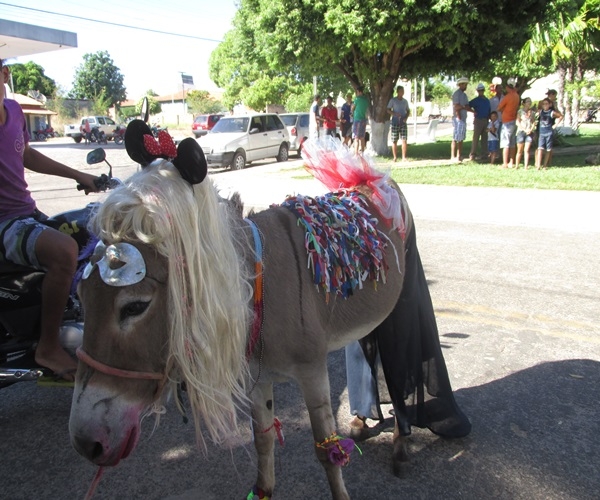 XXIV Semana Cultural: Corrida de Jegue - Imagem 35