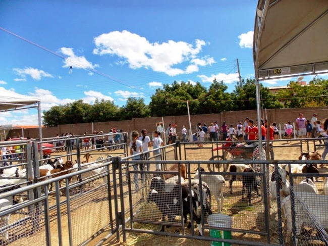 Fronteiras realiza com sucesso o 1º Front Berro - Imagem 8