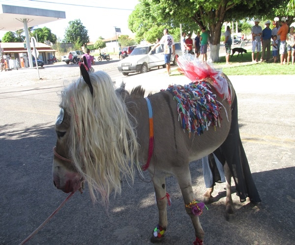 XXIV Semana Cultural: Corrida de Jegue - Imagem 34
