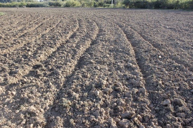Prefeita Dra. Salete Rêgo visita agricultores na localidade caraíbas - Imagem 30