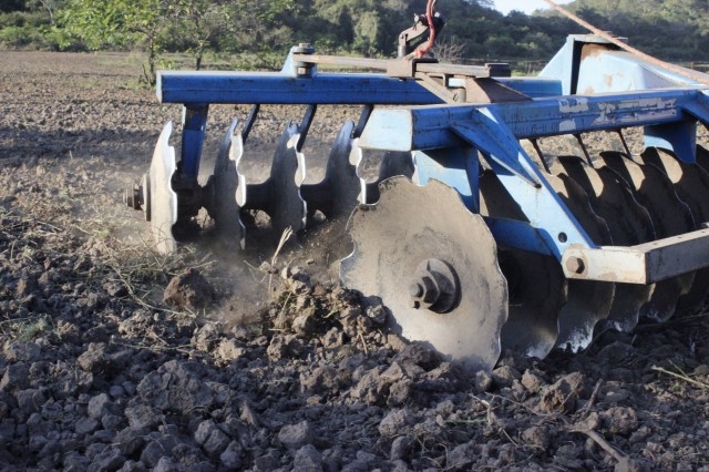 Prefeita Dra. Salete Rêgo visita agricultores na localidade caraíbas - Imagem 25