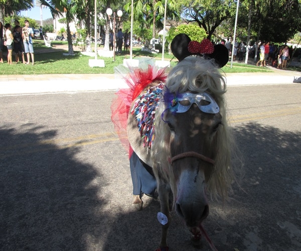 XXIV Semana Cultural: Corrida de Jegue - Imagem 33