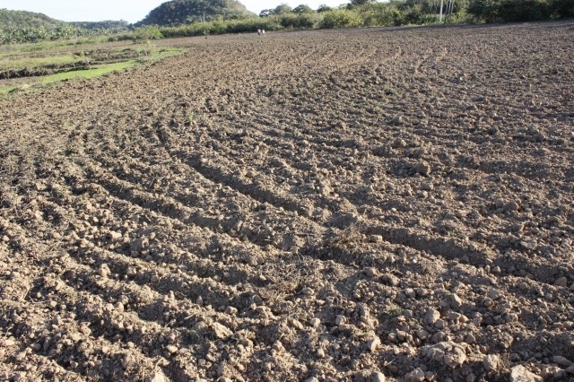 Prefeita Dra. Salete Rêgo visita agricultores na localidade caraíbas - Imagem 32