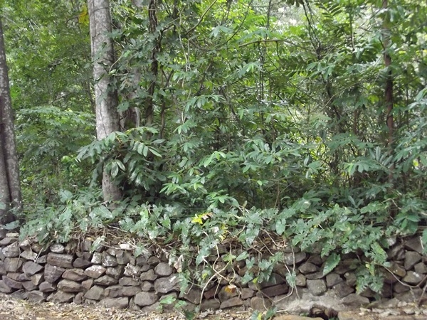 Grupo do terço dos homens de São João da Varjota completa nove anos de fundação - Imagem 7
