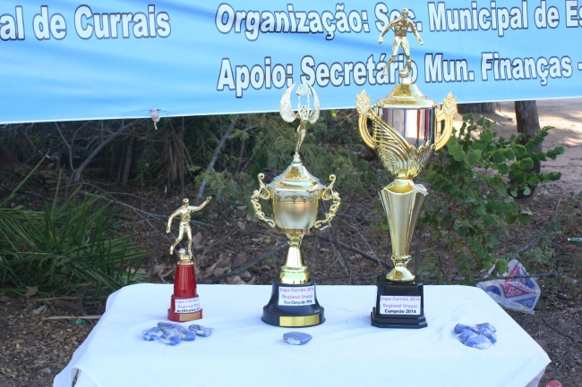 Terçado é o 1º campeão do 1º campeonato da região do Uruçuí. - Imagem 21