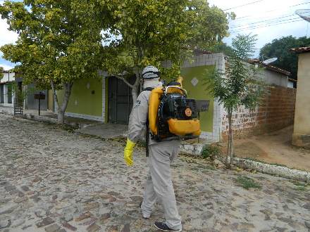 Pedro II registra queda na incidência de casos de dengue