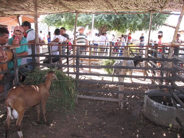 XXIV Semana Cultural: Cavalgada dos Vaqueiros - Imagem 64