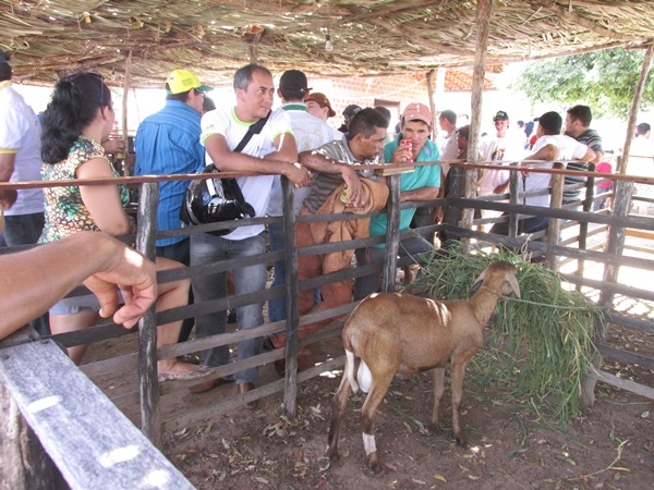XXIV Semana Cultural: Cavalgada dos Vaqueiros - Imagem 63