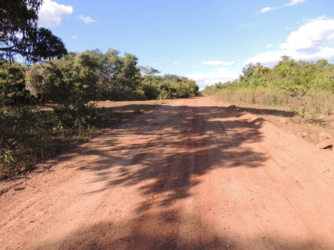 Prefeitura recupera estrada da região da Palmeira dos Soares - Imagem 17