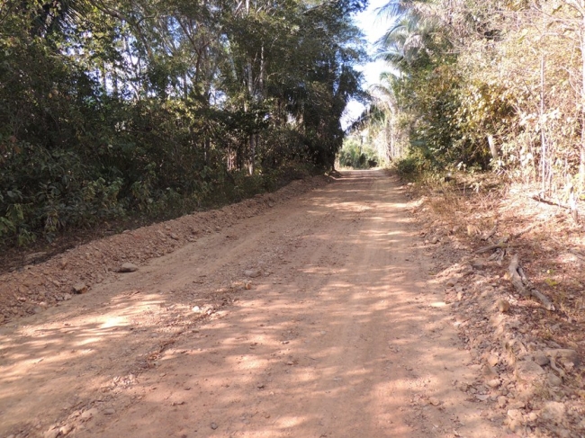 Prefeitura recupera estrada da região da Palmeira dos Soares - Imagem 16