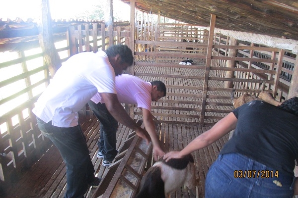 Manin Geronço leva piscicultores e agricultores para aula de campo em Esperantina  - Imagem 8