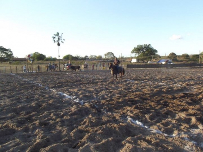 É o Boi, o Cavalo e o Vaqueiro. Derruba do Boi na Vaquejada do Parque Benecarmo - Imagem 62