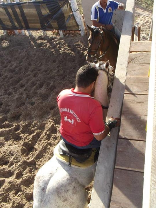É o Boi, o Cavalo e o Vaqueiro. Derruba do Boi na Vaquejada do Parque Benecarmo - Imagem 21