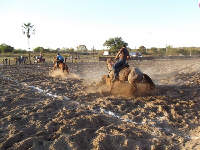 É o Boi, o Cavalo e o Vaqueiro. Derruba do Boi na Vaquejada do Parque Benecarmo - Imagem 44