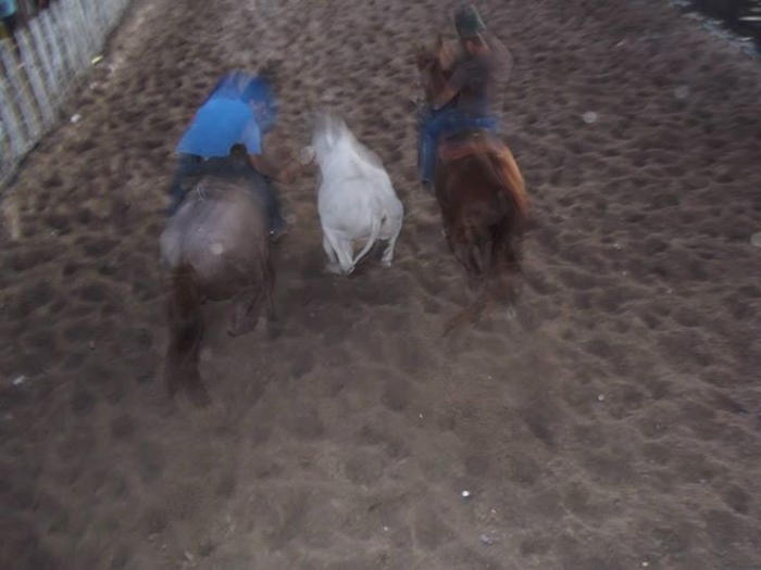 É o Boi, o Cavalo e o Vaqueiro. Derruba do Boi na Vaquejada do Parque Benecarmo - Imagem 28