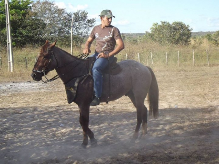 É o Boi, o Cavalo e o Vaqueiro. Derruba do Boi na Vaquejada do Parque Benecarmo - Imagem 66