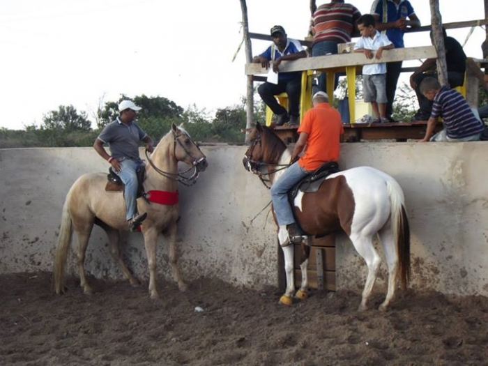 É o Boi, o Cavalo e o Vaqueiro. Derruba do Boi na Vaquejada do Parque Benecarmo - Imagem 24
