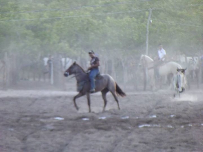 É o Boi, o Cavalo e o Vaqueiro. Derruba do Boi na Vaquejada do Parque Benecarmo - Imagem 38